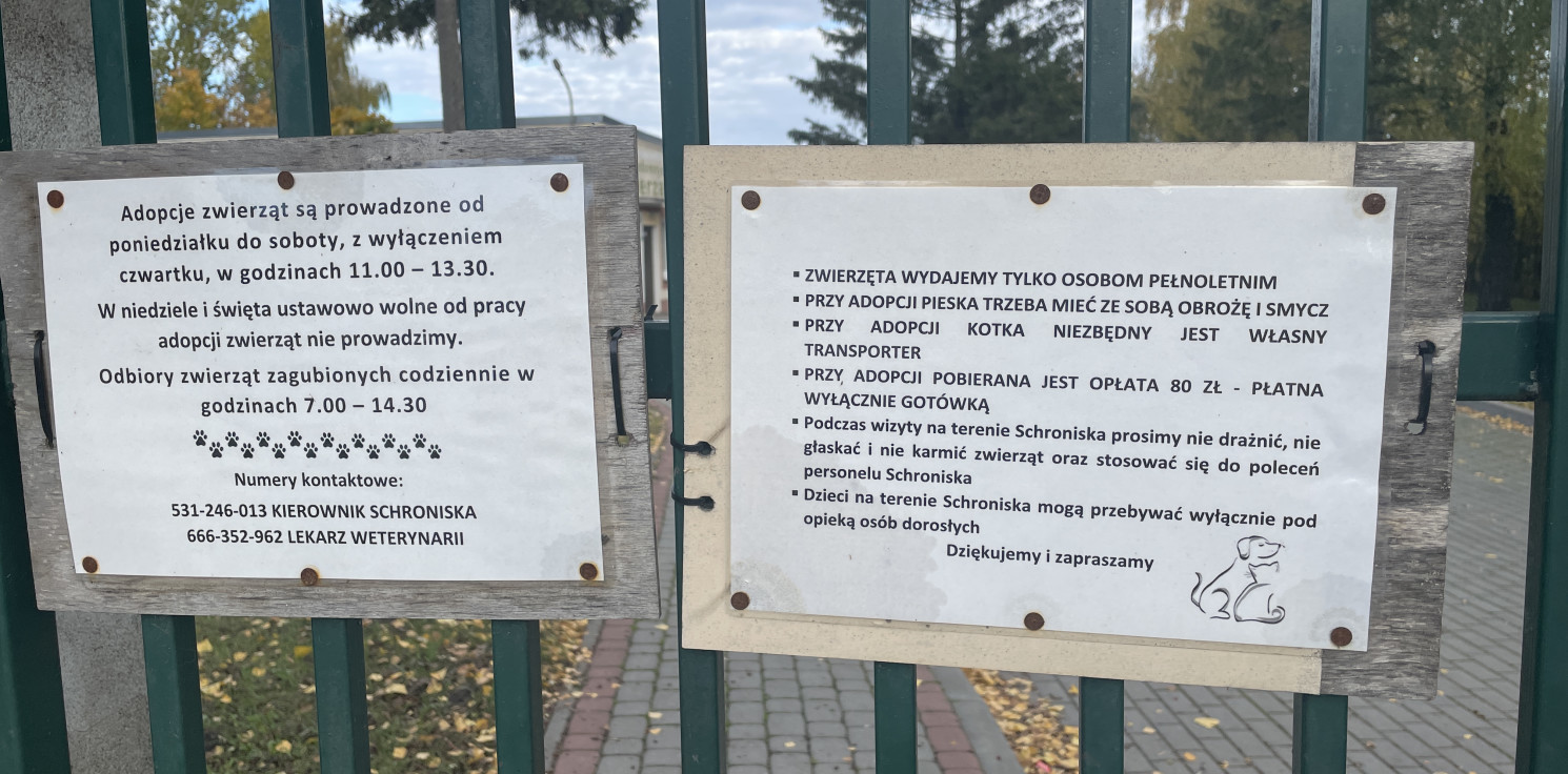Inowrocław - W schronisku za adopcję trzeba zapłacić 80 zł