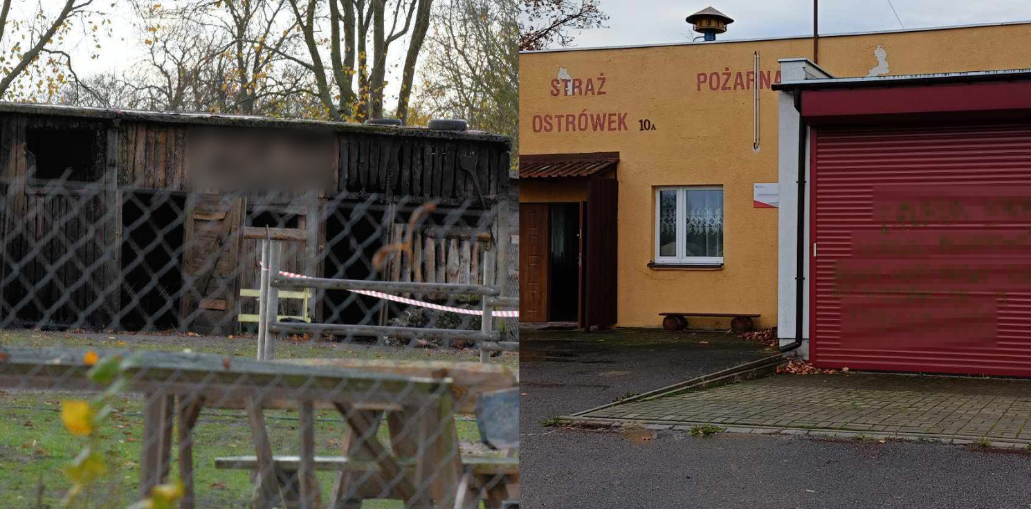 Kruszwica.online - Makabryczne odkrycie strażaków. Pojechali gasić pożar, a znaleźli martwe zwierzęta