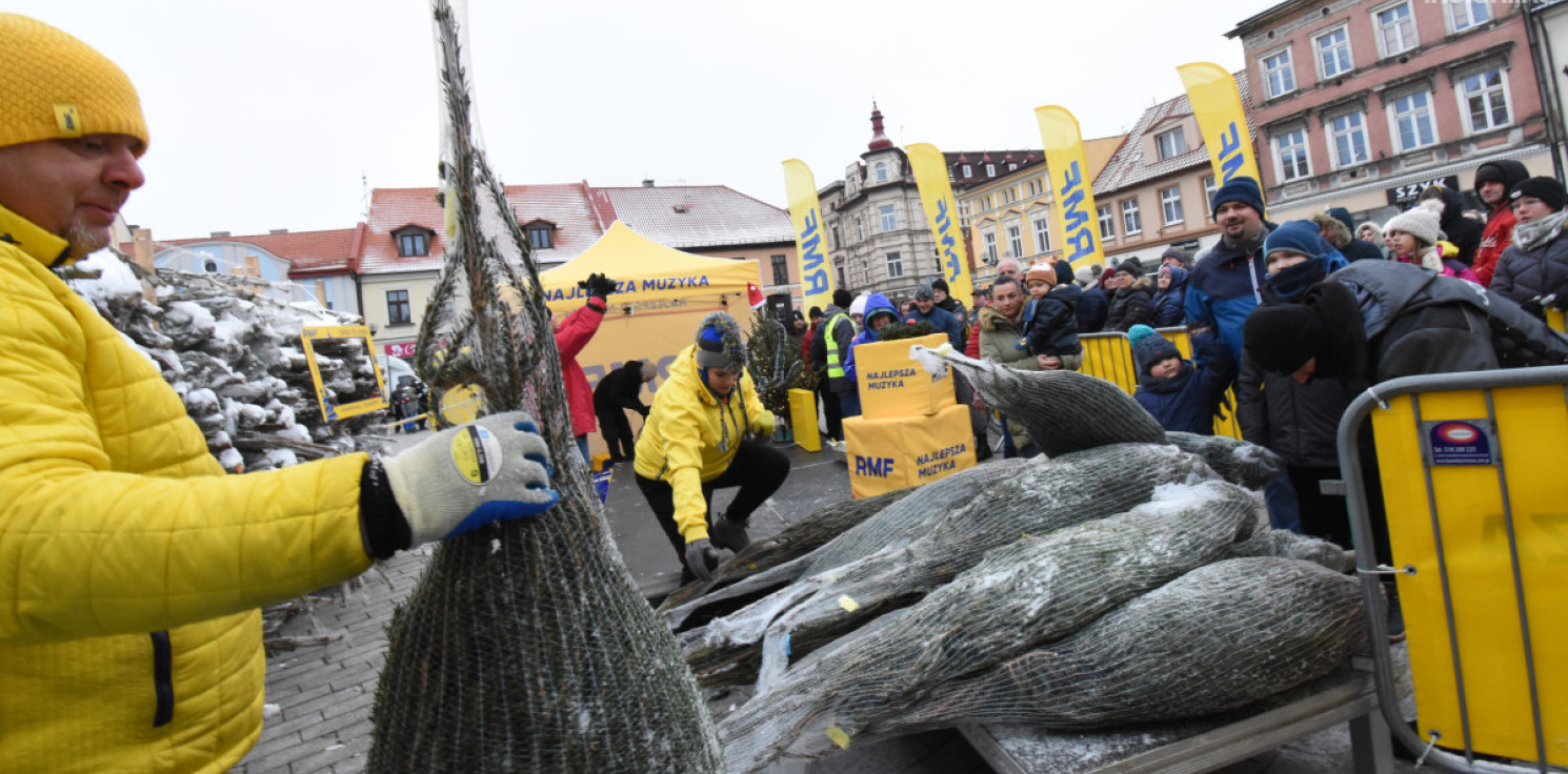 Inowrocław - Choinki pod choinkę od RMF FM w Inowrocławiu