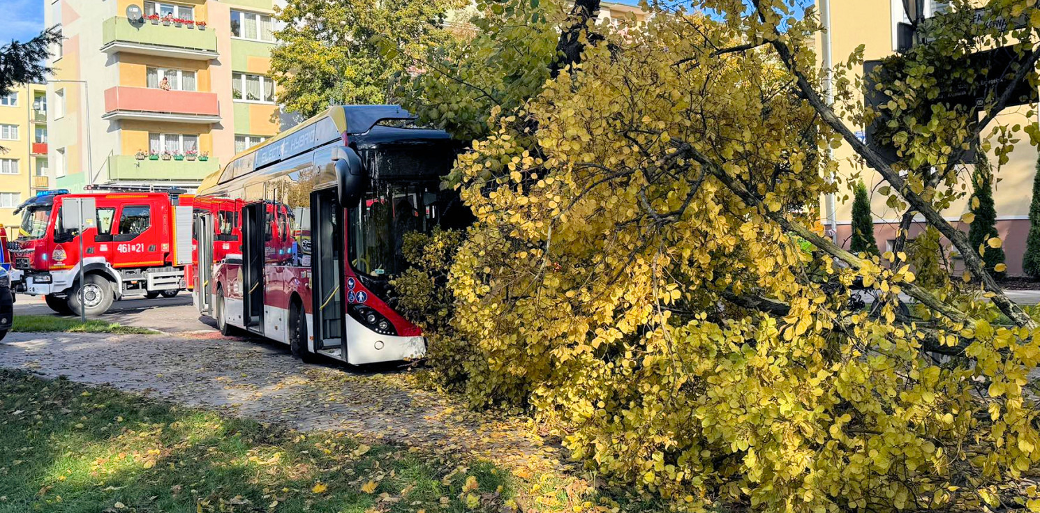 Inowrocław - Po wypadku w Solankach. Kluczowa rola biegłych