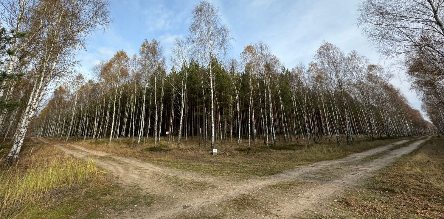 Region - GUS policzył, ilu mieszkańców żyje u nas "daleko od szosy"