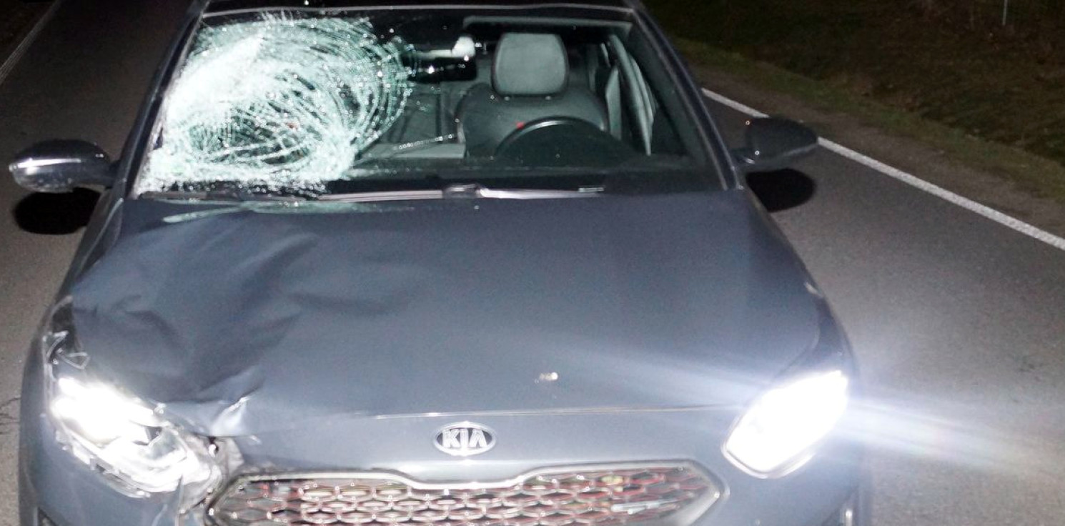 Region - Piesza zginęła na drodze do Włocławka. Policjanci: nie miała odblasków