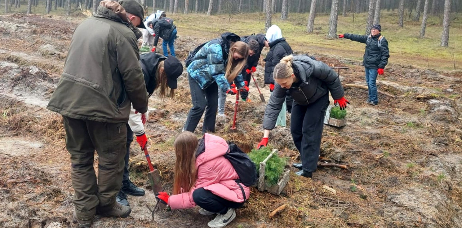Inowrocław - 3500 drzew zasadzili uczniowie Kaspra