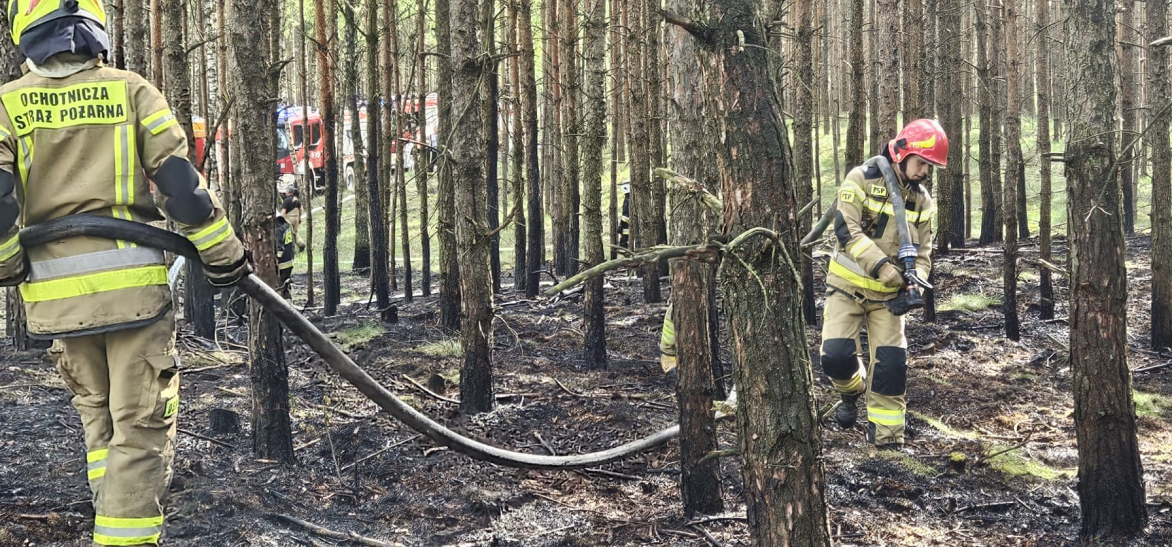 Gniewkowo - Pożar w lesie koło Zajezierza. Konieczna była pomoc samolotu