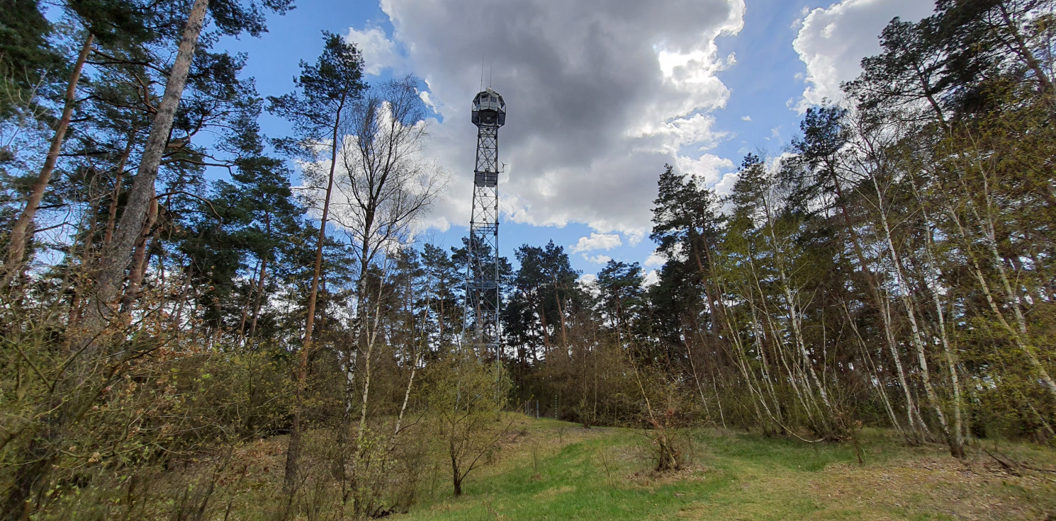 Inowrocław - Ekstremalne zagrożenie pożarowe w lasach