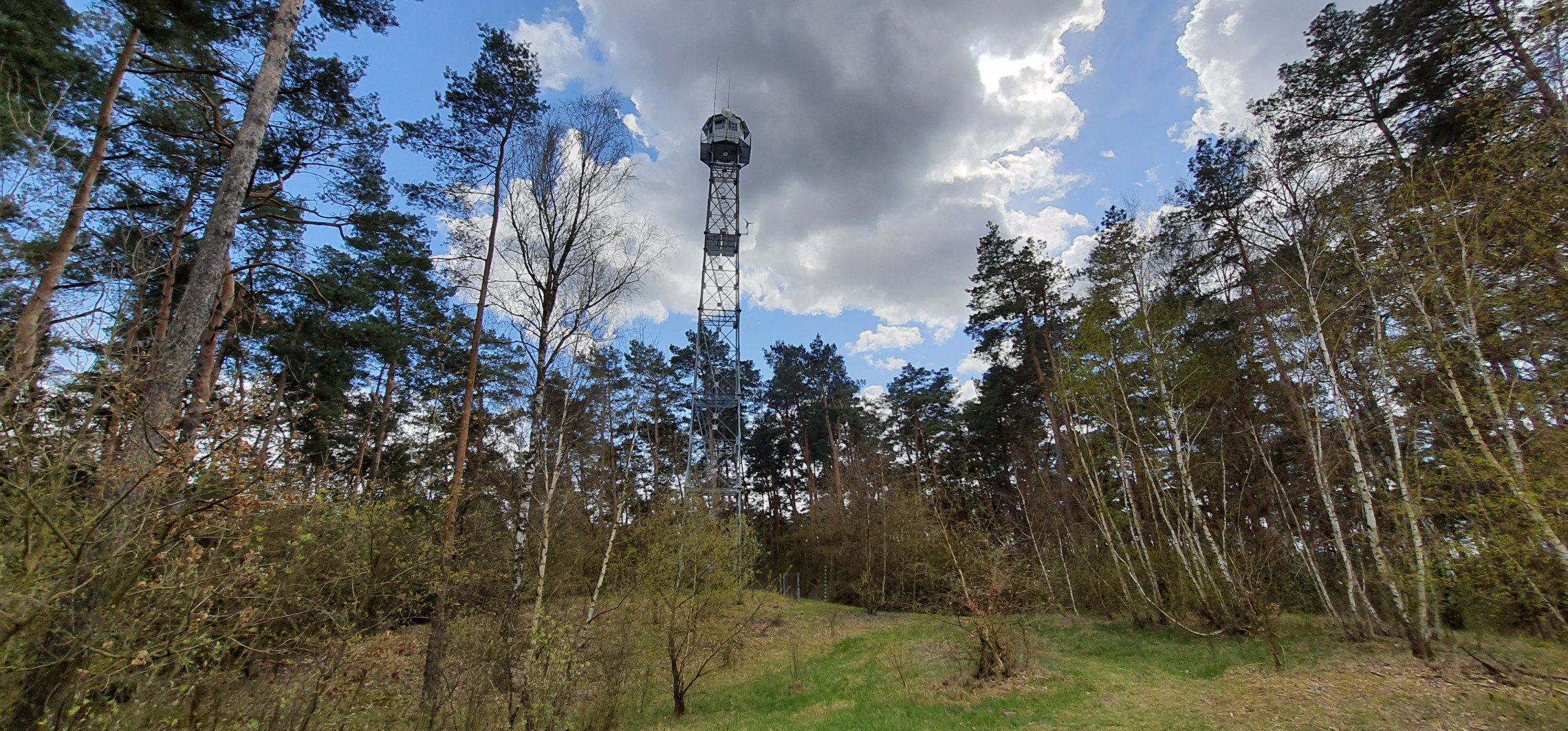 Inowrocław - Ekstremalne zagrożenie pożarowe w lasach