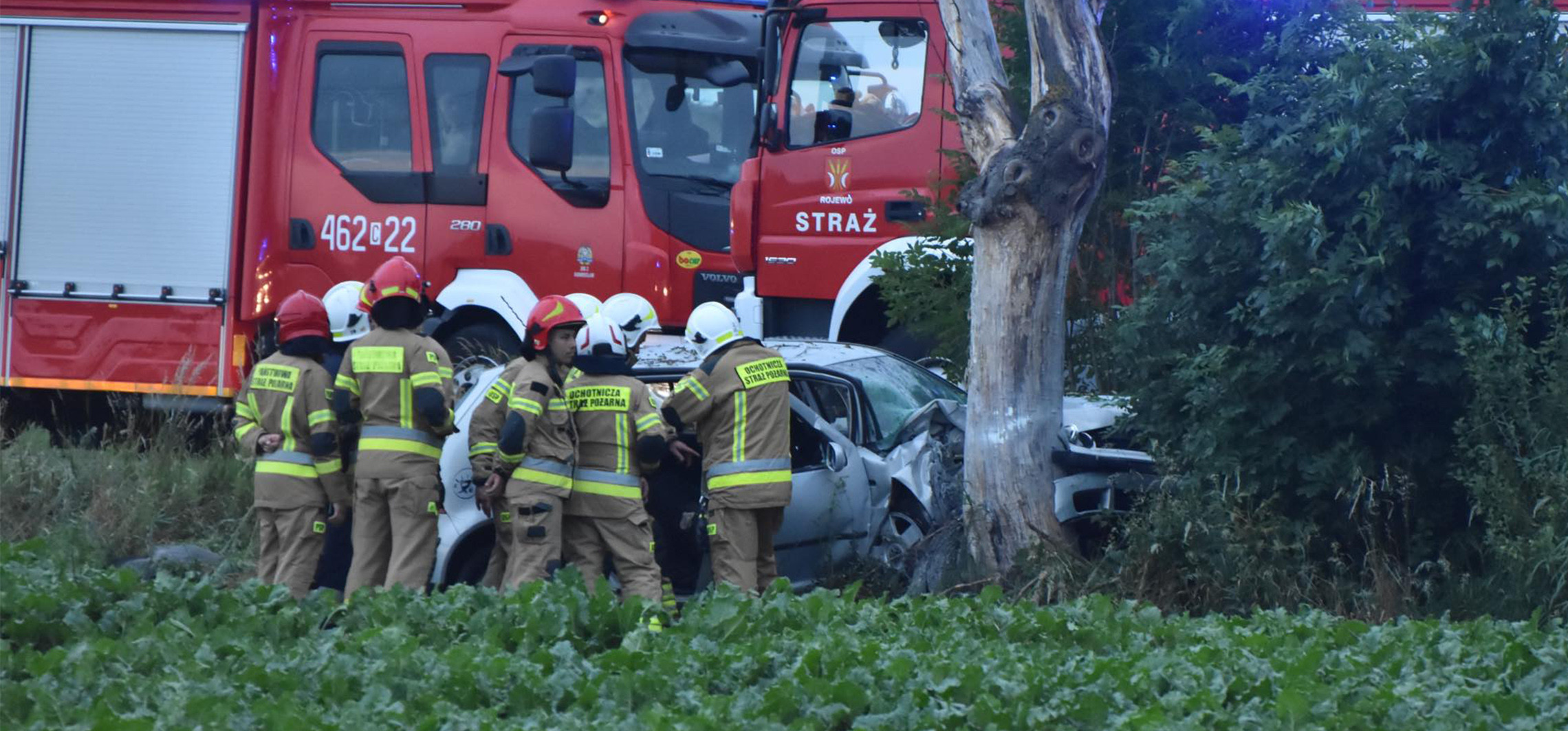 Rojewo - Samochód uderzył w drzewo na drodze do Rojewa