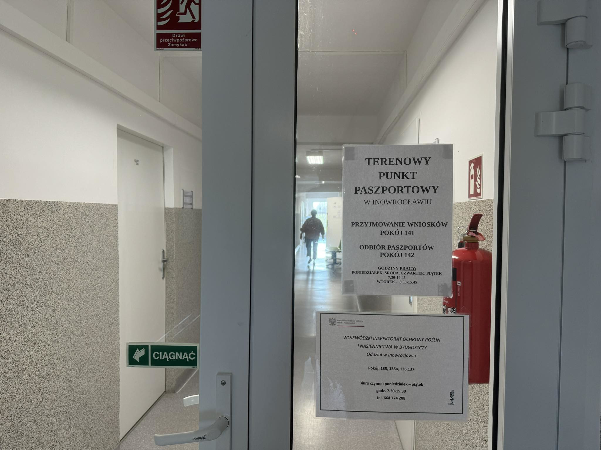 448252792-447750944660739-5117147342282409316-n