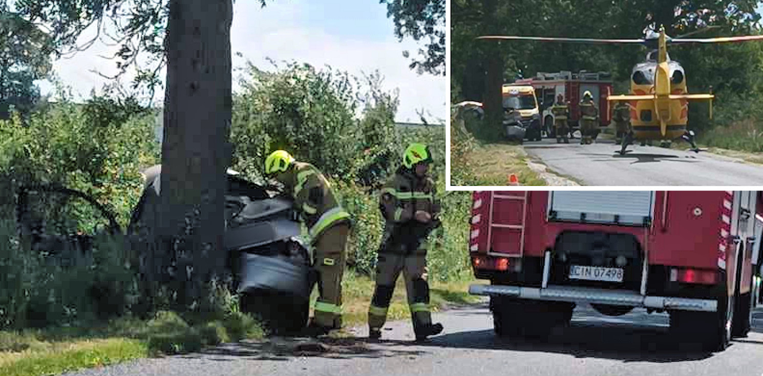 Region - Auto uderzyło w drzewo, poszkodowane dziecko