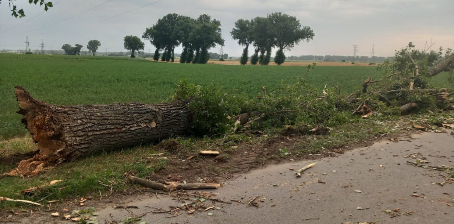 Inowrocław - Środa: 17 interwencji strażaków po nawałnicy