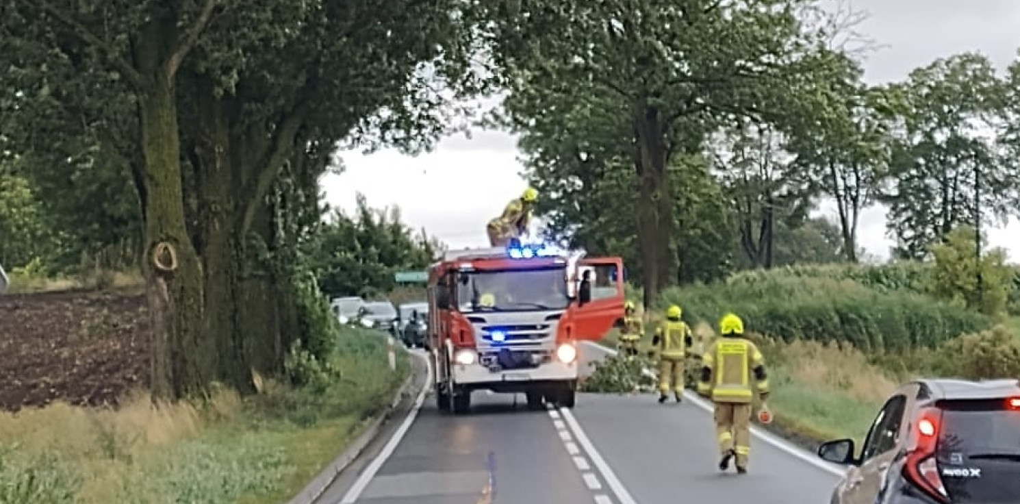 Region - Po przejściu wichury strażacy mają sporo pracy