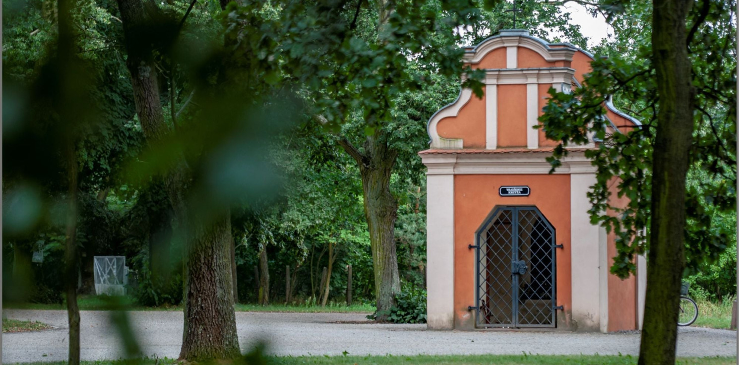 Pakość - Posadzą pamiątkowy dąb i kapsułę czasu. Okrągła rocznica w Pakości