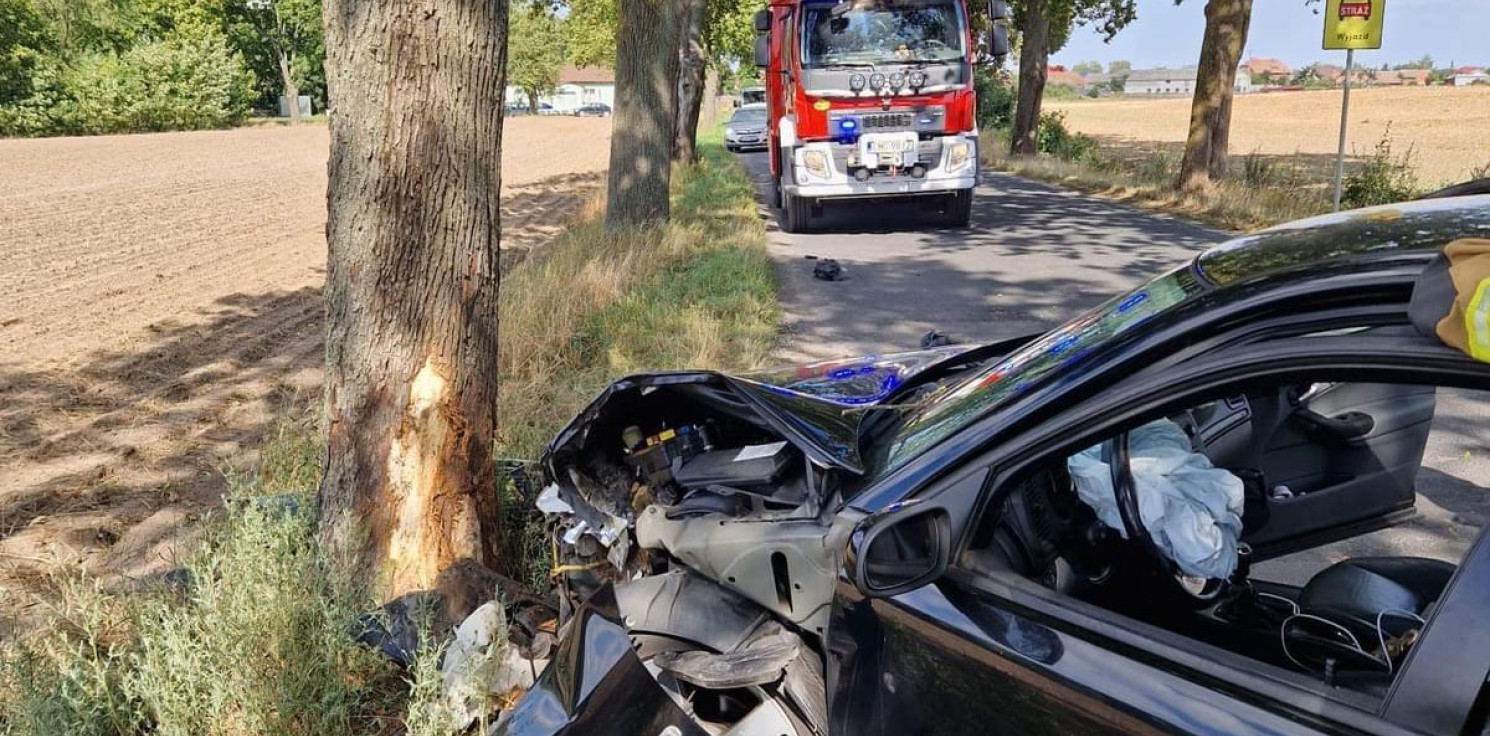 Mogilno - Pijany zakończył jazdę na drzewie