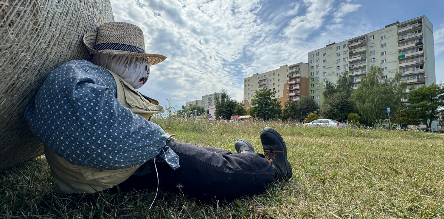 Inowrocław - Niecodzienna instalacja na osiedlu Rąbin. Zwiastuje dożynki