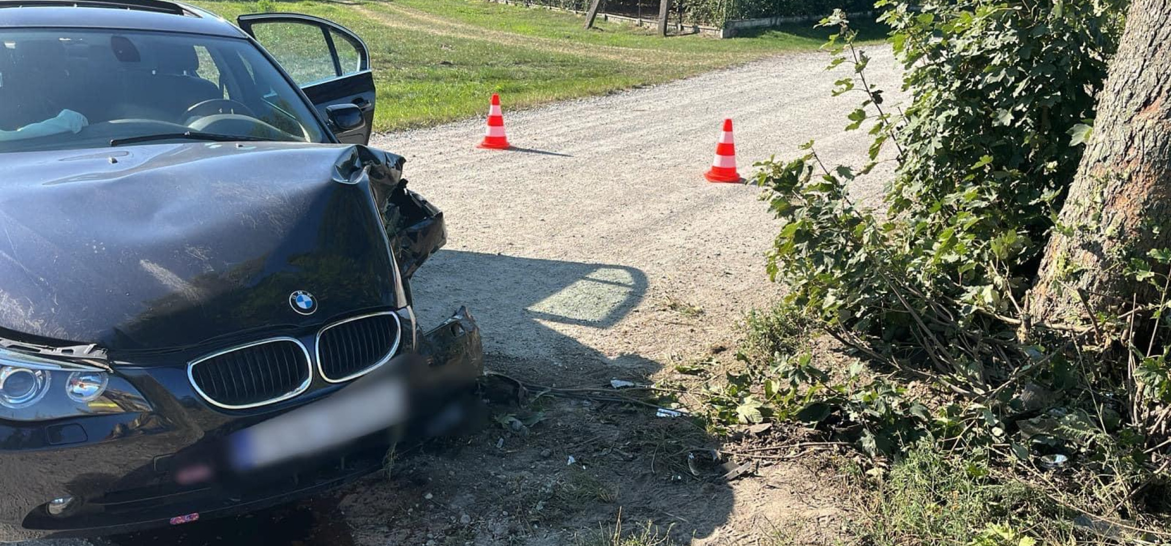 Region - BMW uderzyło w drzewo, kierowca w szpitalu