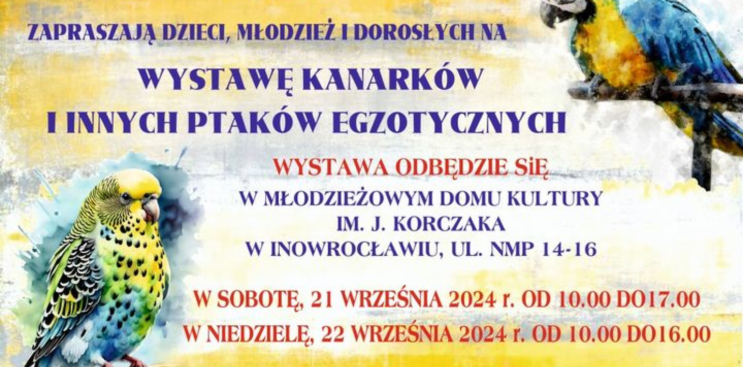 Inowrocław - Kanarki i papugi opanują MDK. Będzie egzotycznie