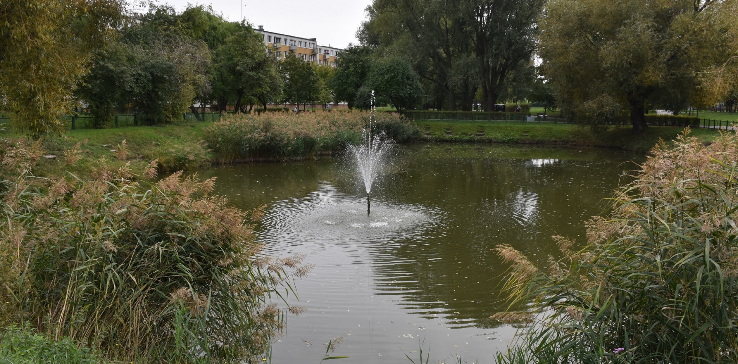 Inowrocław - Wody w tym stawie ciągle ubywa. Wędkarze alarmują