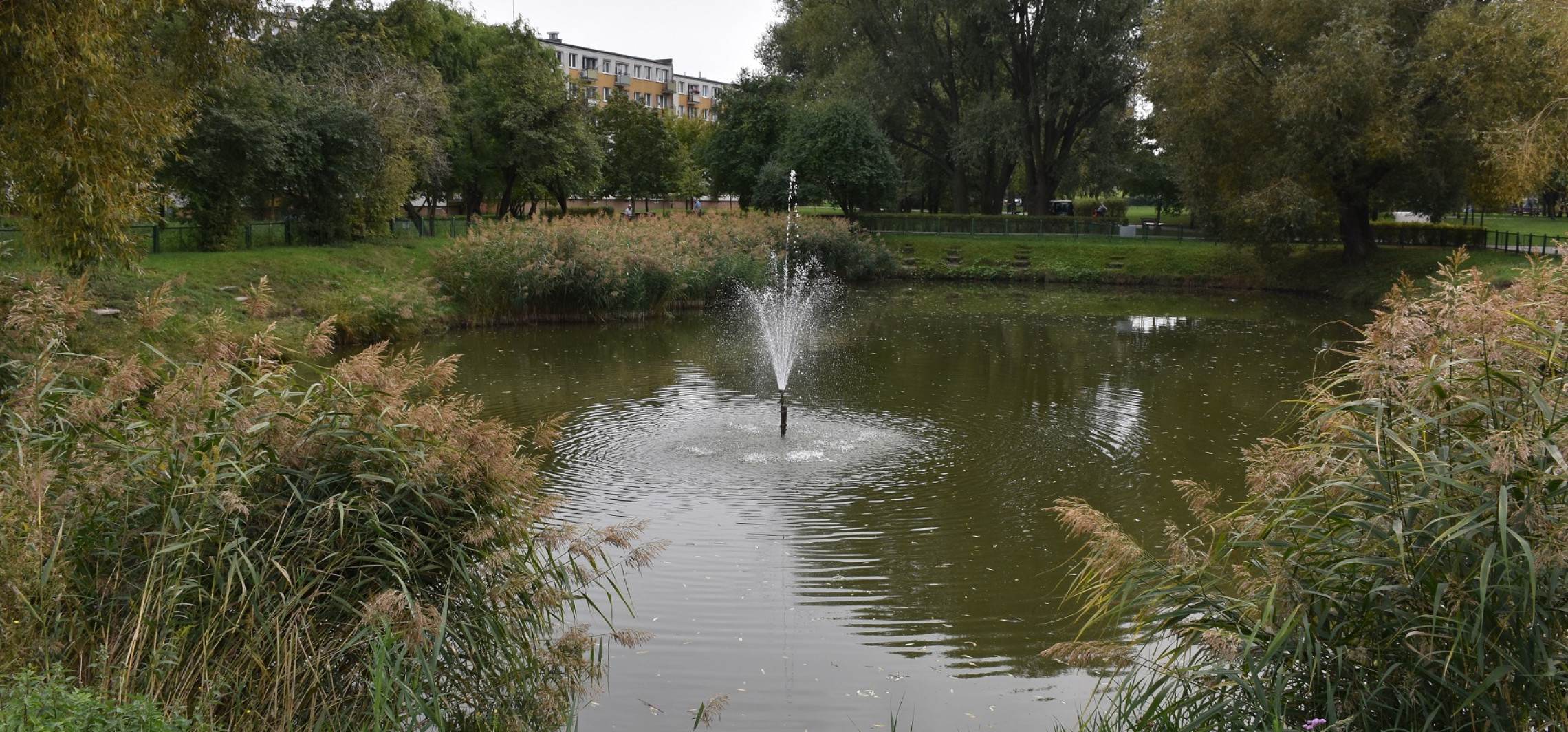 Inowrocław - Wody w tym stawie ciągle ubywa. Wędkarze alarmują