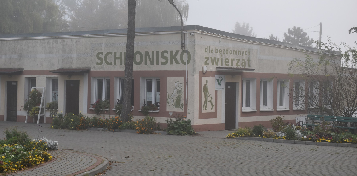 Inowrocław - Nieprawidłowości w schronisku. Wyniki kontroli ws. remontu