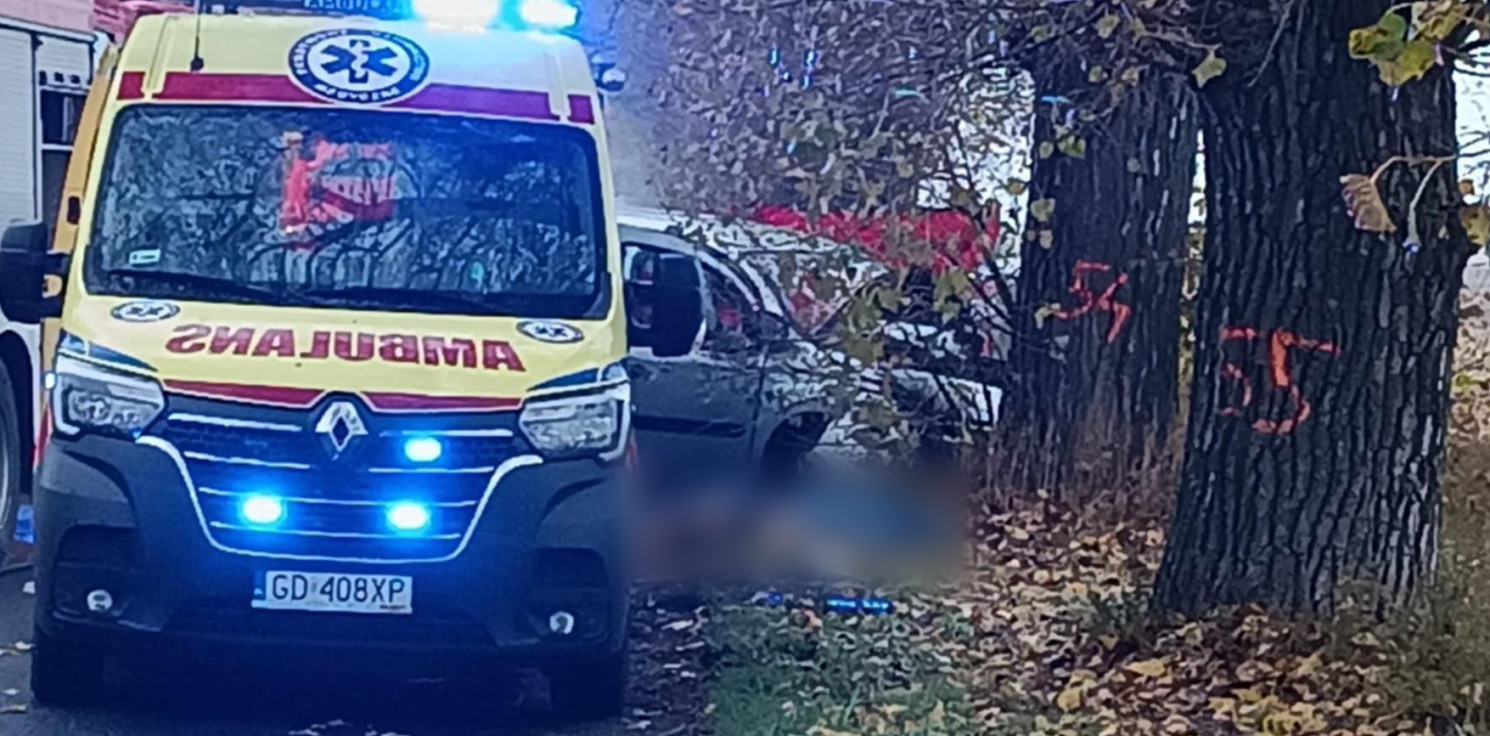 Region - Śmiertelny wypadek na drodze do Kruszwicy