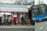 W tych miastach autobusami jeżdżą za darmo. Pytamy władze, czy było warto