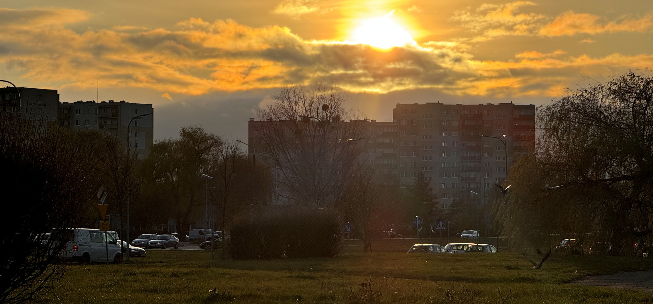 Inowrocław - Prognoza pogody dla Inowrocławia na najbliższe dni