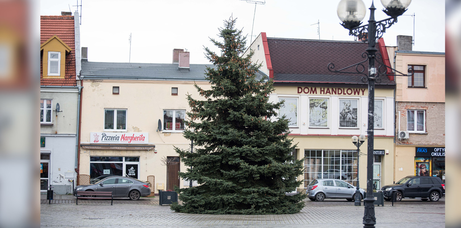 Inowrocław - Na rynku w Inowrocławiu stoi już choinka