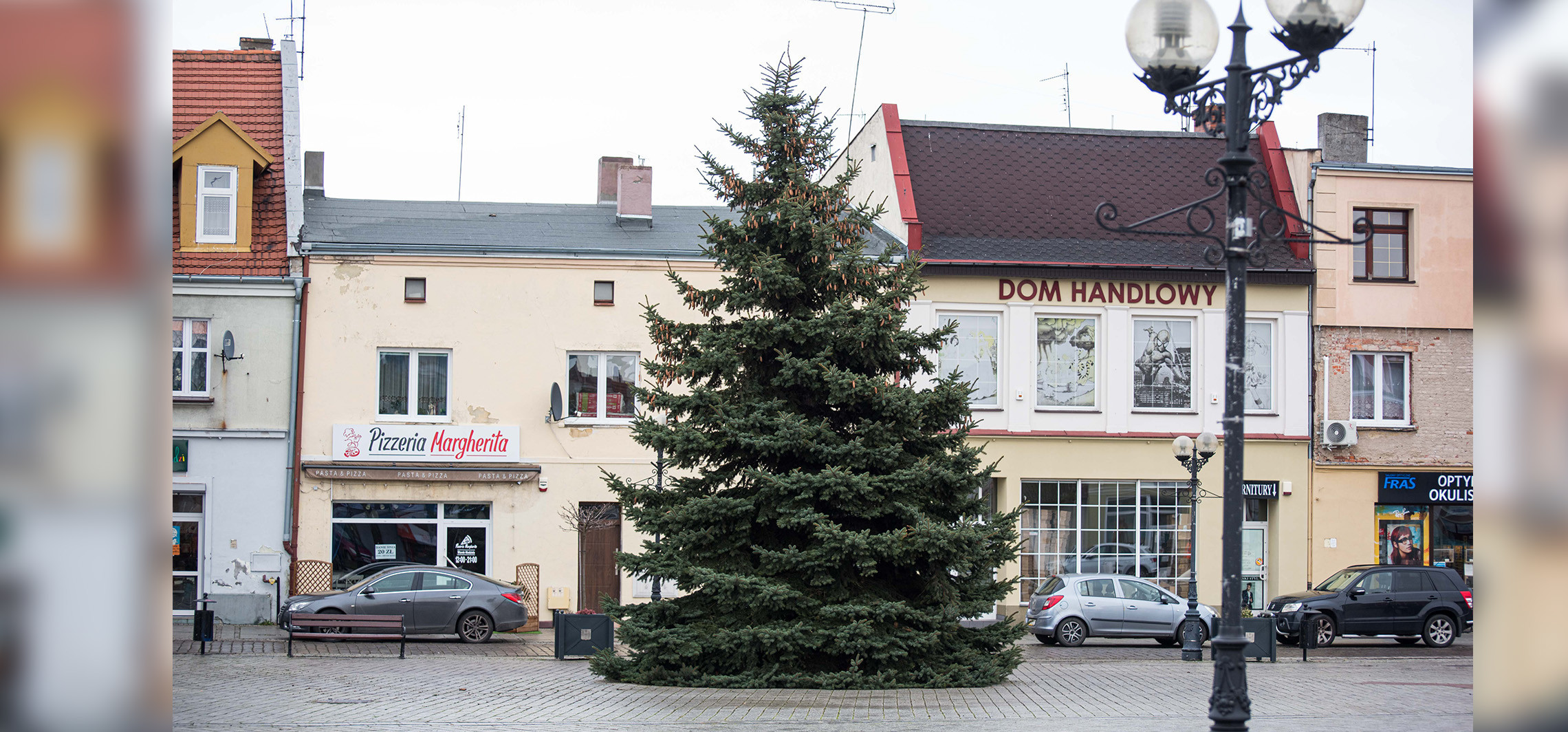 Inowrocław - Na rynku w Inowrocławiu stoi już choinka