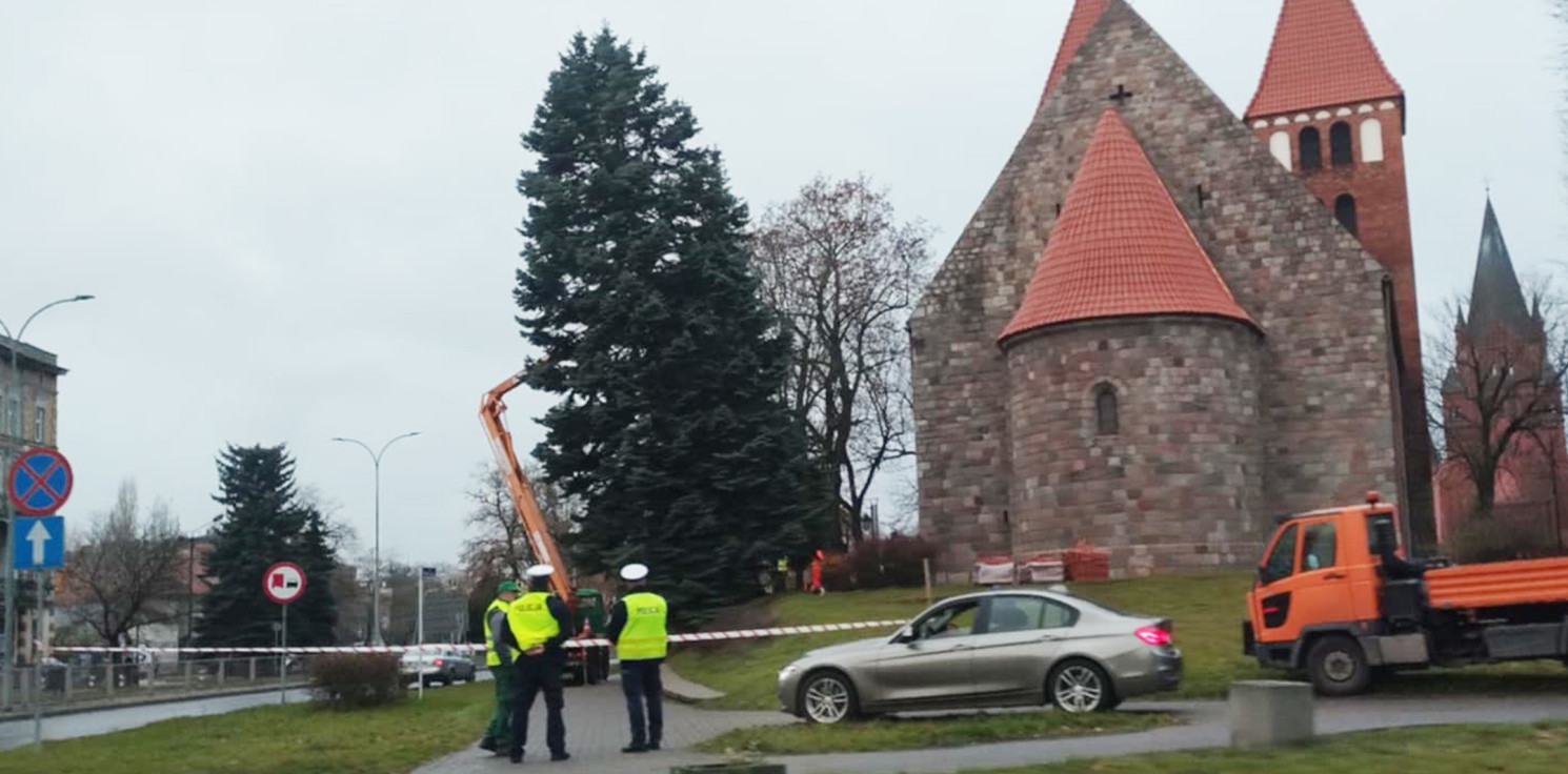 Inowrocław - Wycinają drzewo przy bazylice. Tędy nie przejdziesz