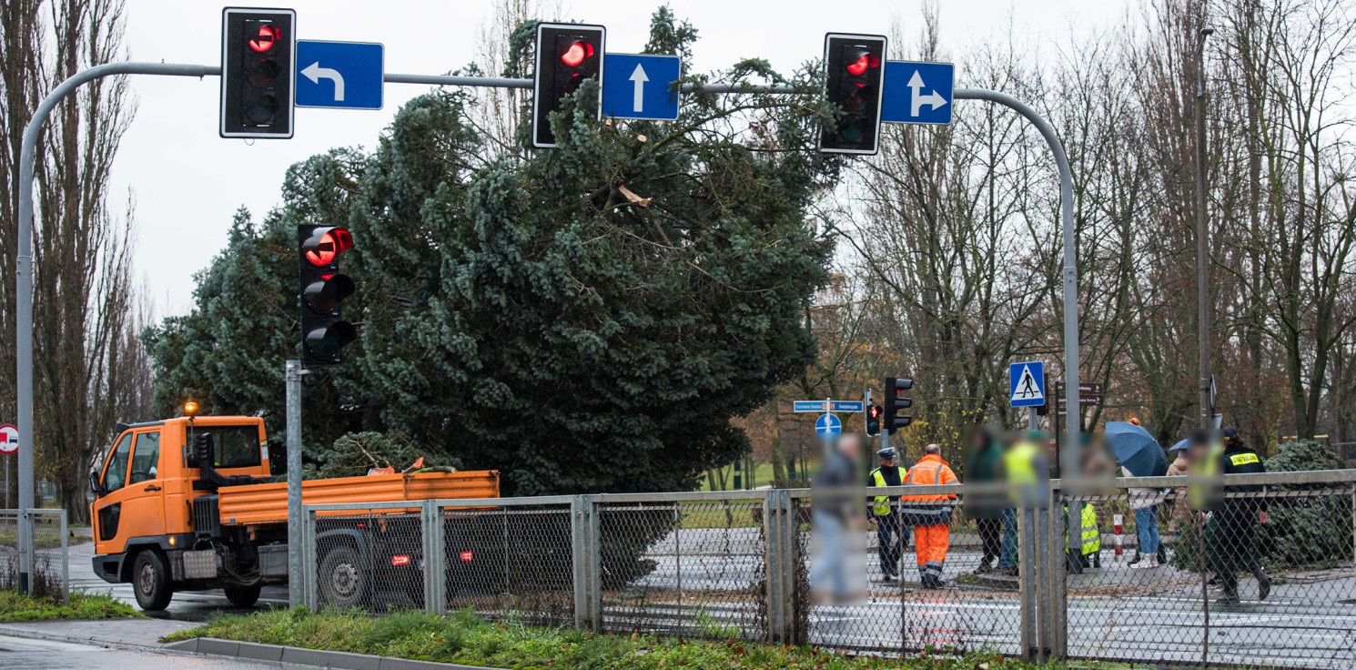 Inowrocław - W trakcie transportowania choinki doszło do wypadku