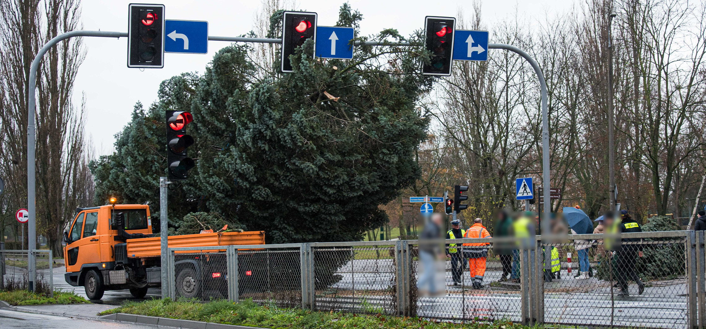 Inowrocław - W trakcie transportowania choinki doszło do wypadku