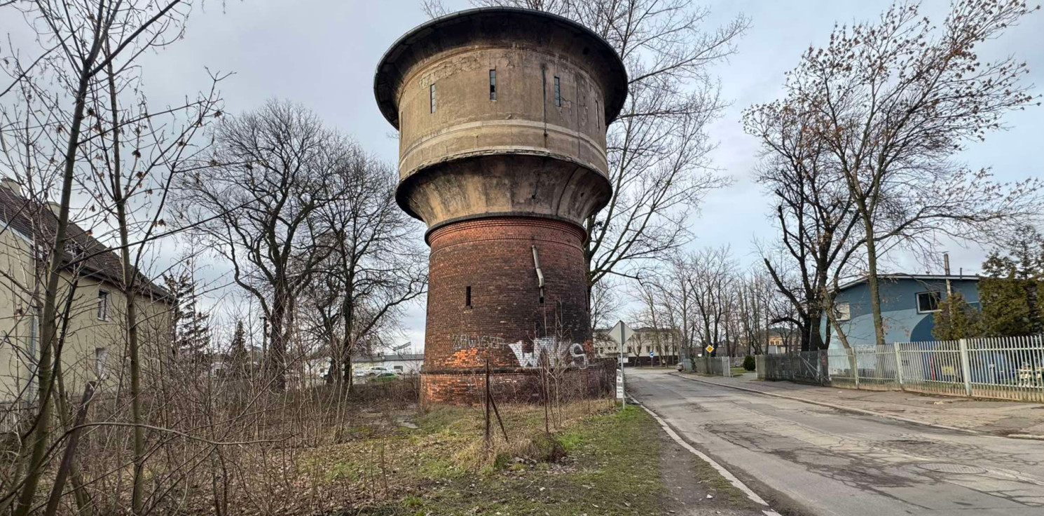 Inowrocław - Makabryczne odkrycie w Inowrocławiu. Martwe zwierzęta w worku