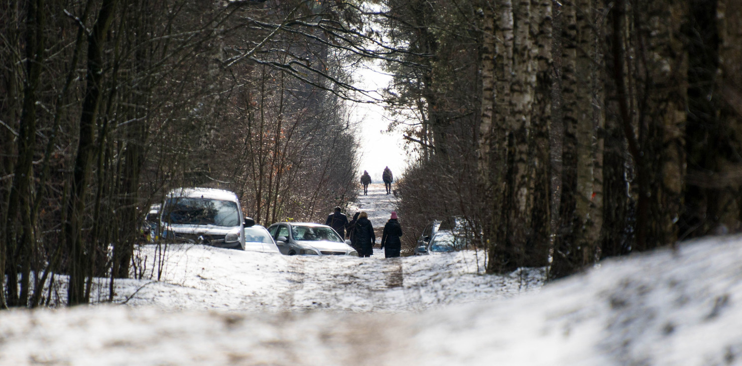 Gmina Inowrocław - 5 powodów, dla których warto wybrać się do lasu w mroźny dzień