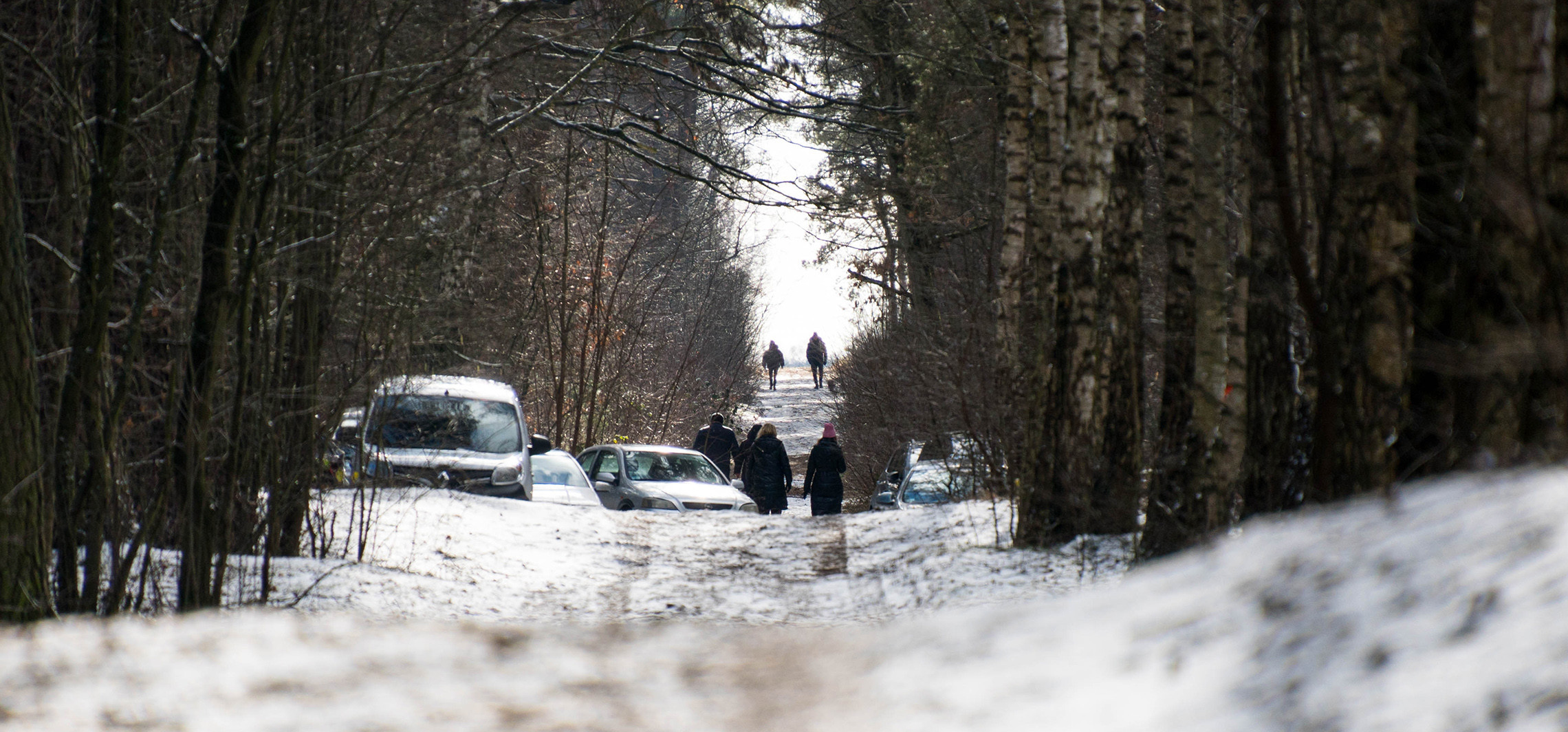 Gmina Inowrocław - 5 powodów, dla których warto wybrać się do lasu w mroźny dzień