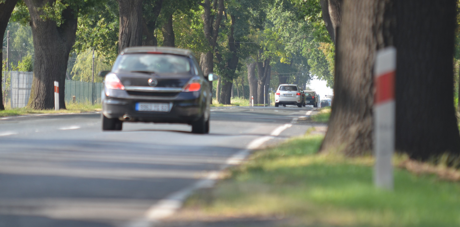 Gmina Inowrocław - Volvo uderzyło w drzewo. Kobieta w szpitalu