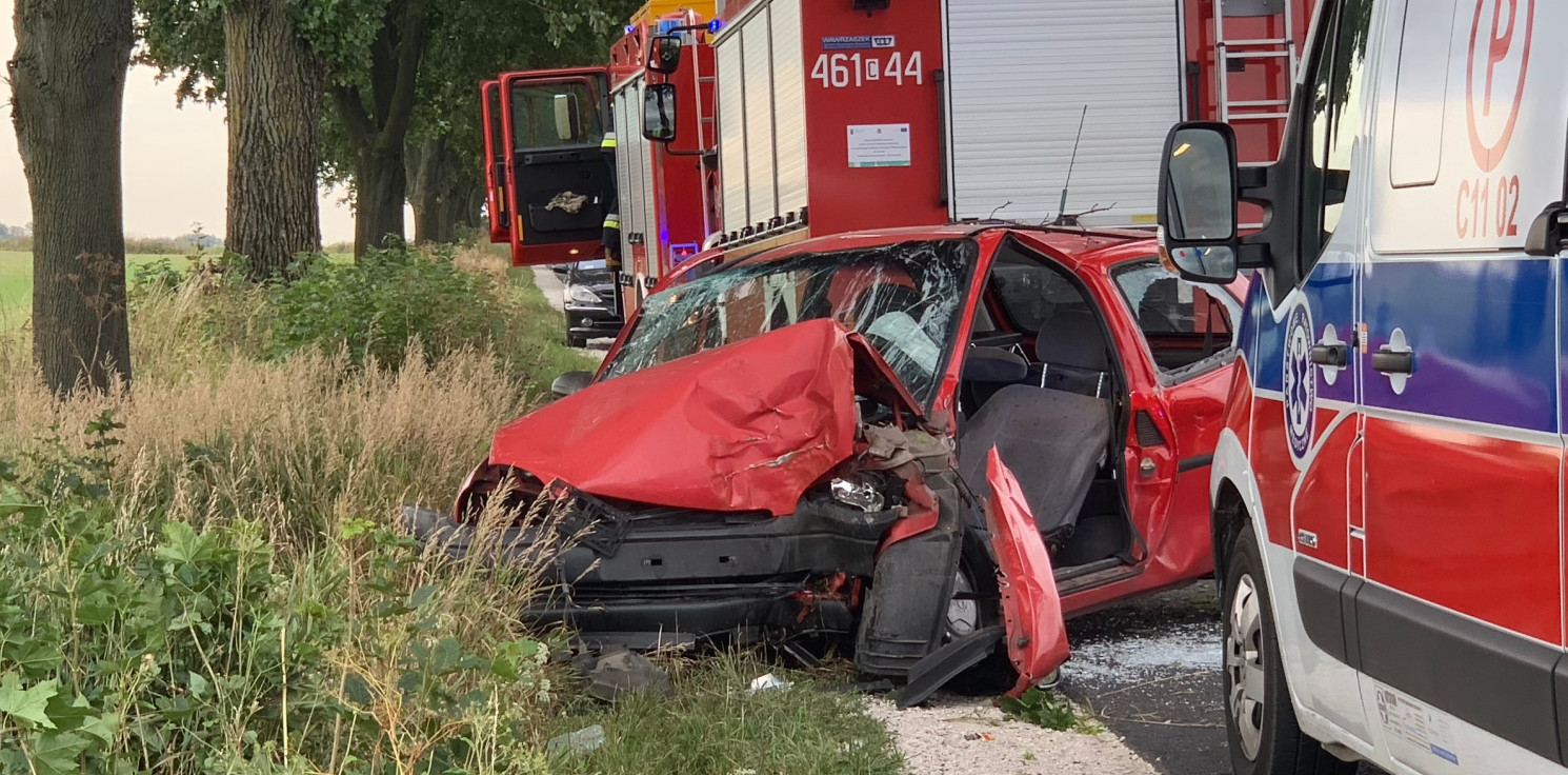 Region - Osobówka uderzyła w drzewo