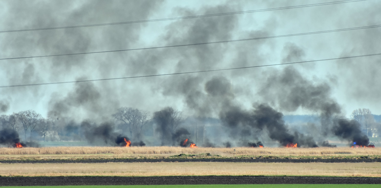 Region - Pożar traw i trzcinowisk niedaleko Inowrocławia