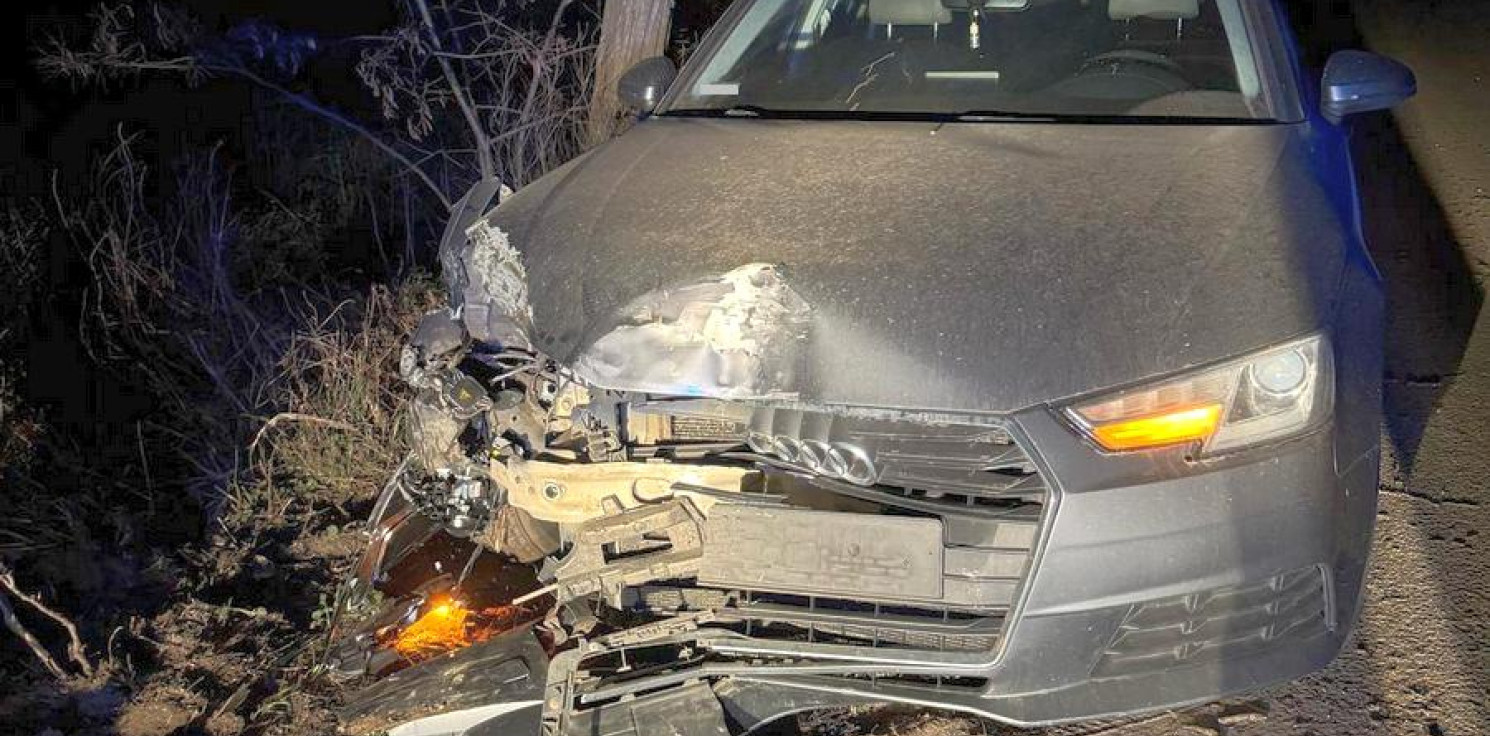 Region - Sarna na drodze. Ułamek sekundy i rozbite auto. Uważaj, to może spotkać każdego