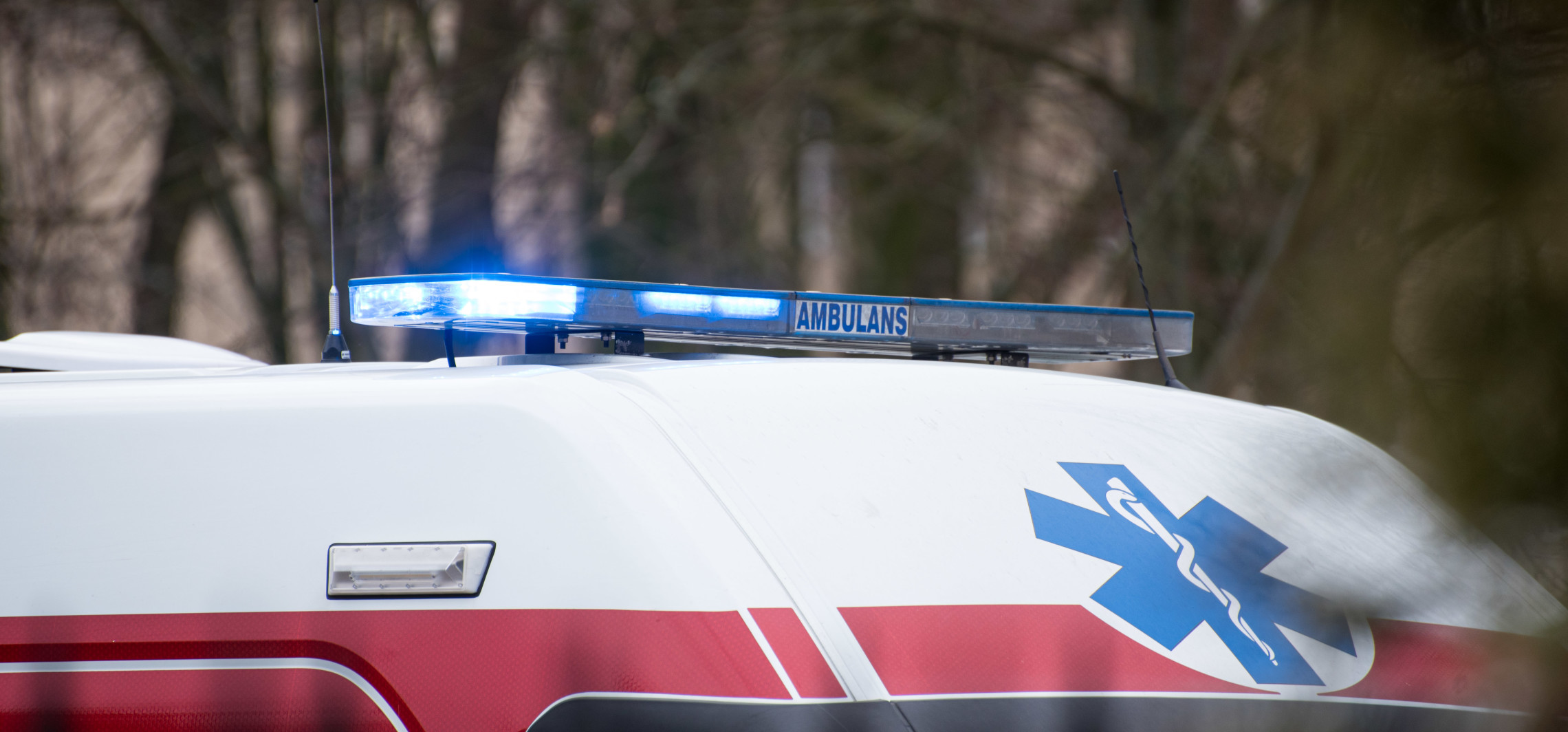 Dachowanie i uderzenie w drzewo. Policja szuka świadków