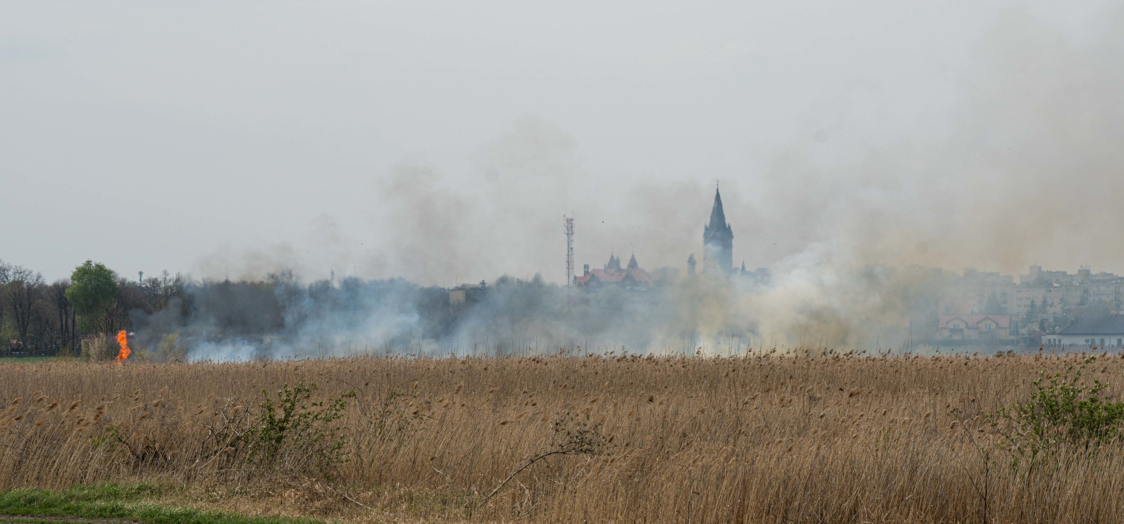Kłęby dymu nad Kozłówką. Palą się trawy i trzciny