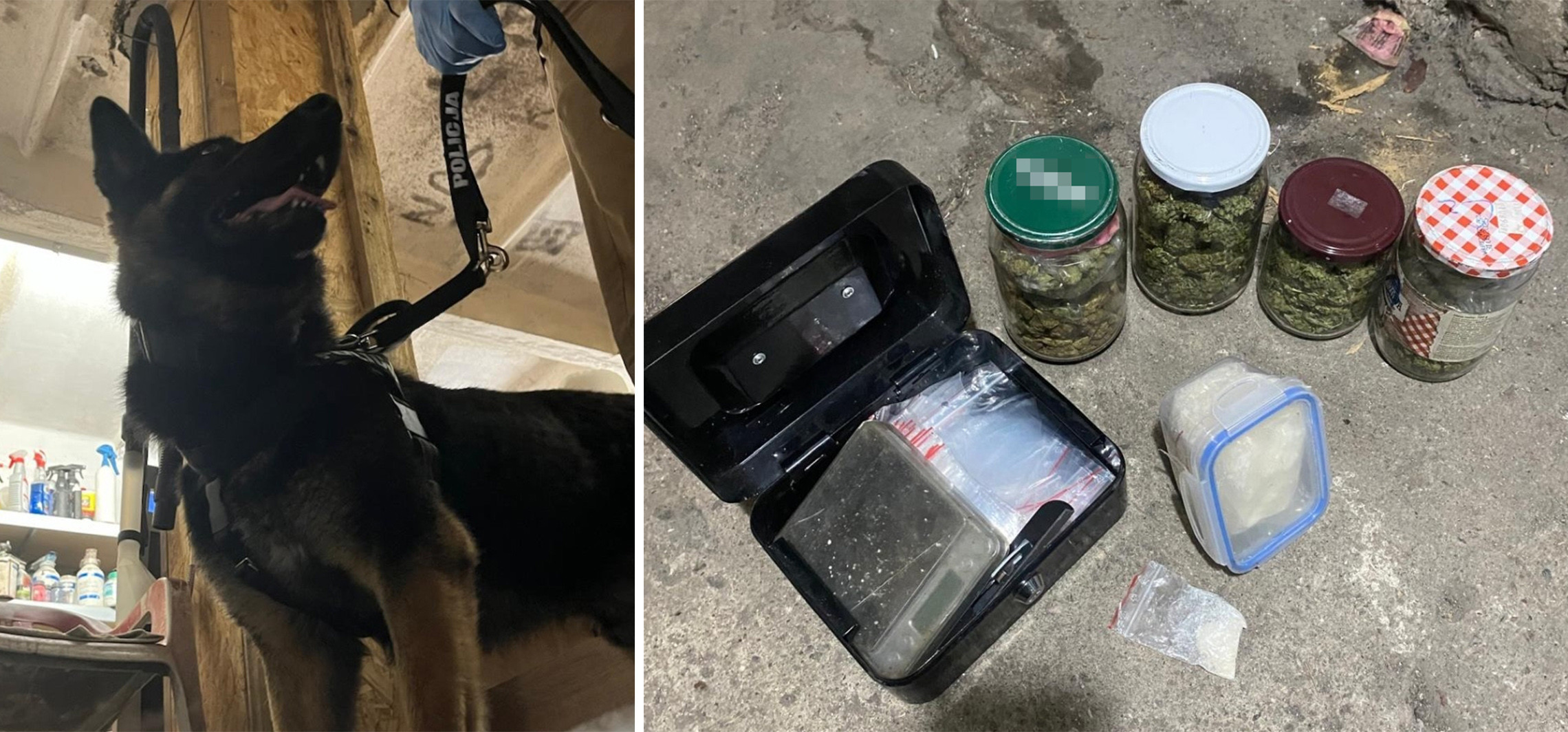 Znaleźli u niego pół kilograma narkotyków. 40-latek trafił do aresztu