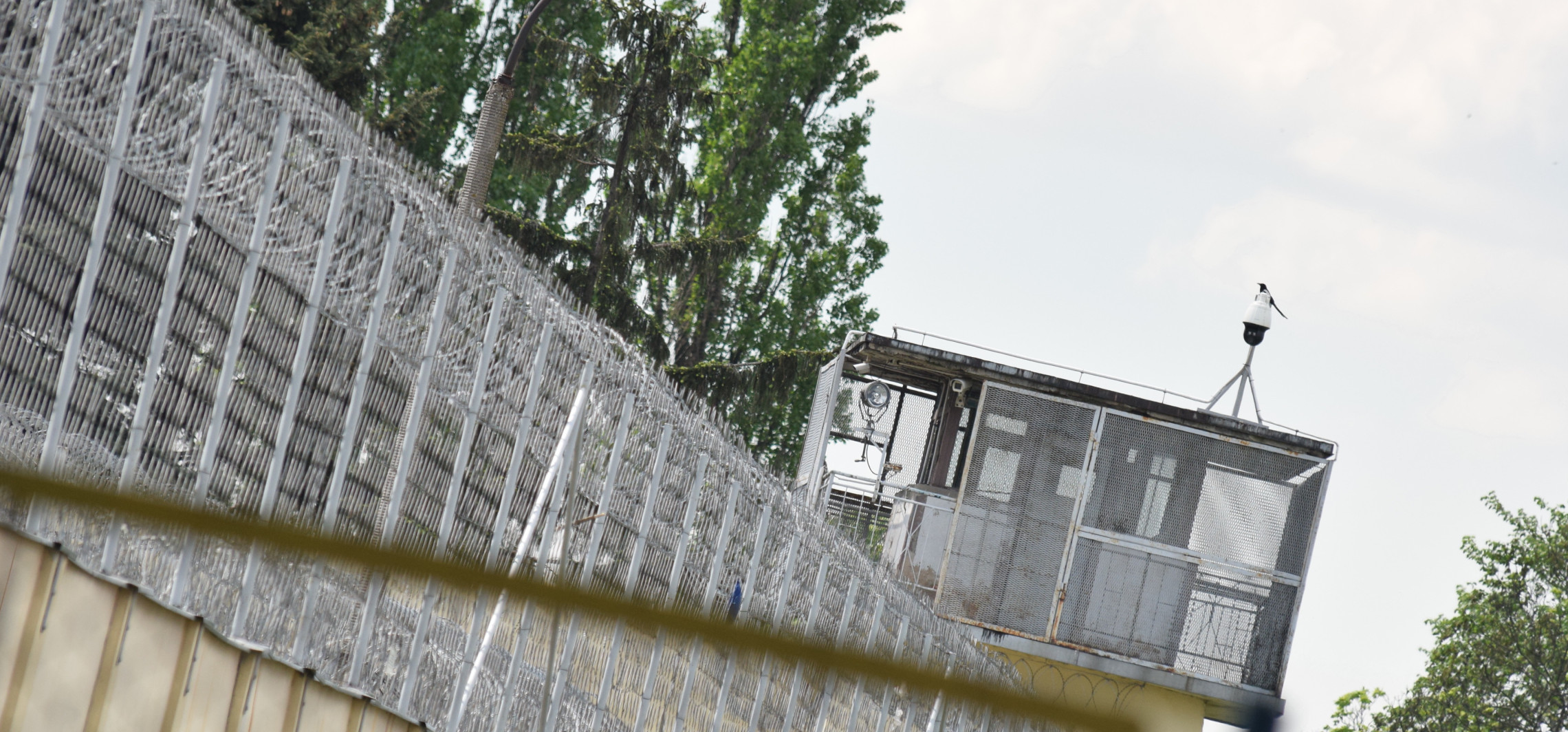 Sześciu poszukiwanych w rękach policji