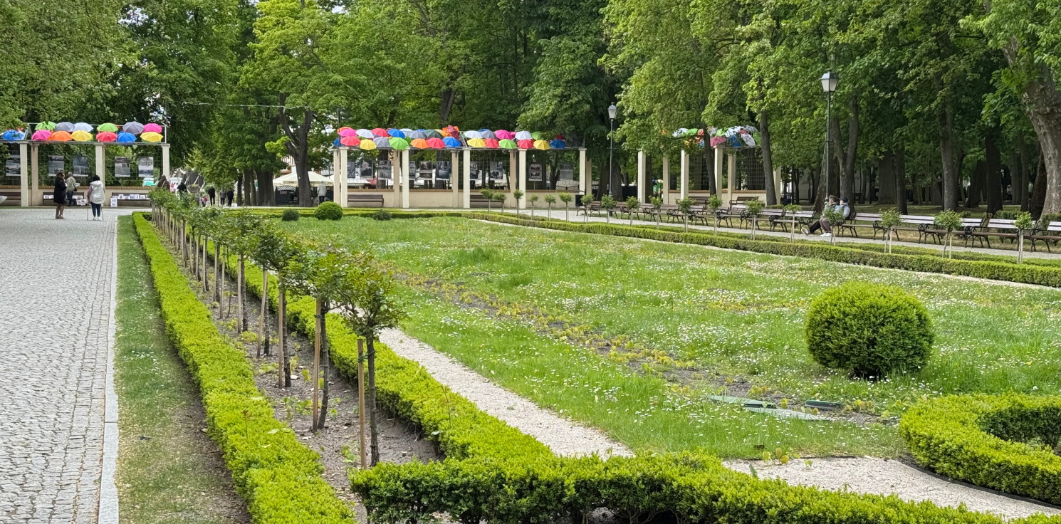 Inowrocław - Solanki bez kwiatów. Prezydent miasta zabrał głos