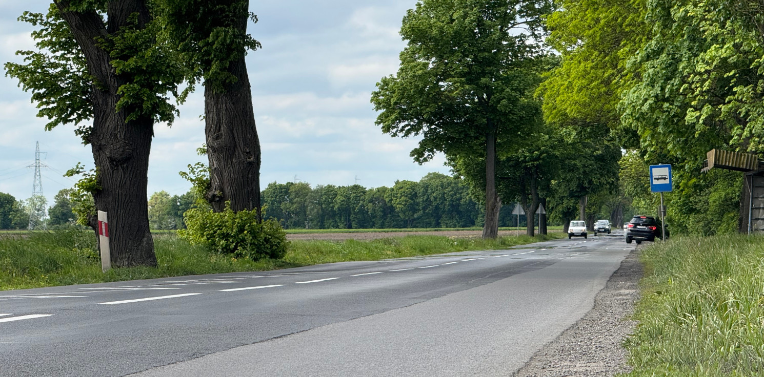 Region - Drogowcy wkroczą na ważny odcinek. Remont na trasie Inowrocław - Kruszwica