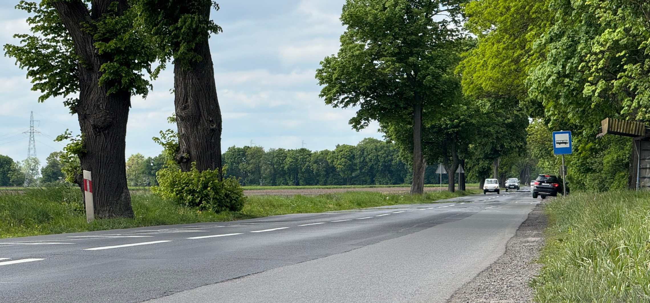 Region - Drogowcy wkroczą na ważny odcinek. Remont na trasie Inowrocław - Kruszwica