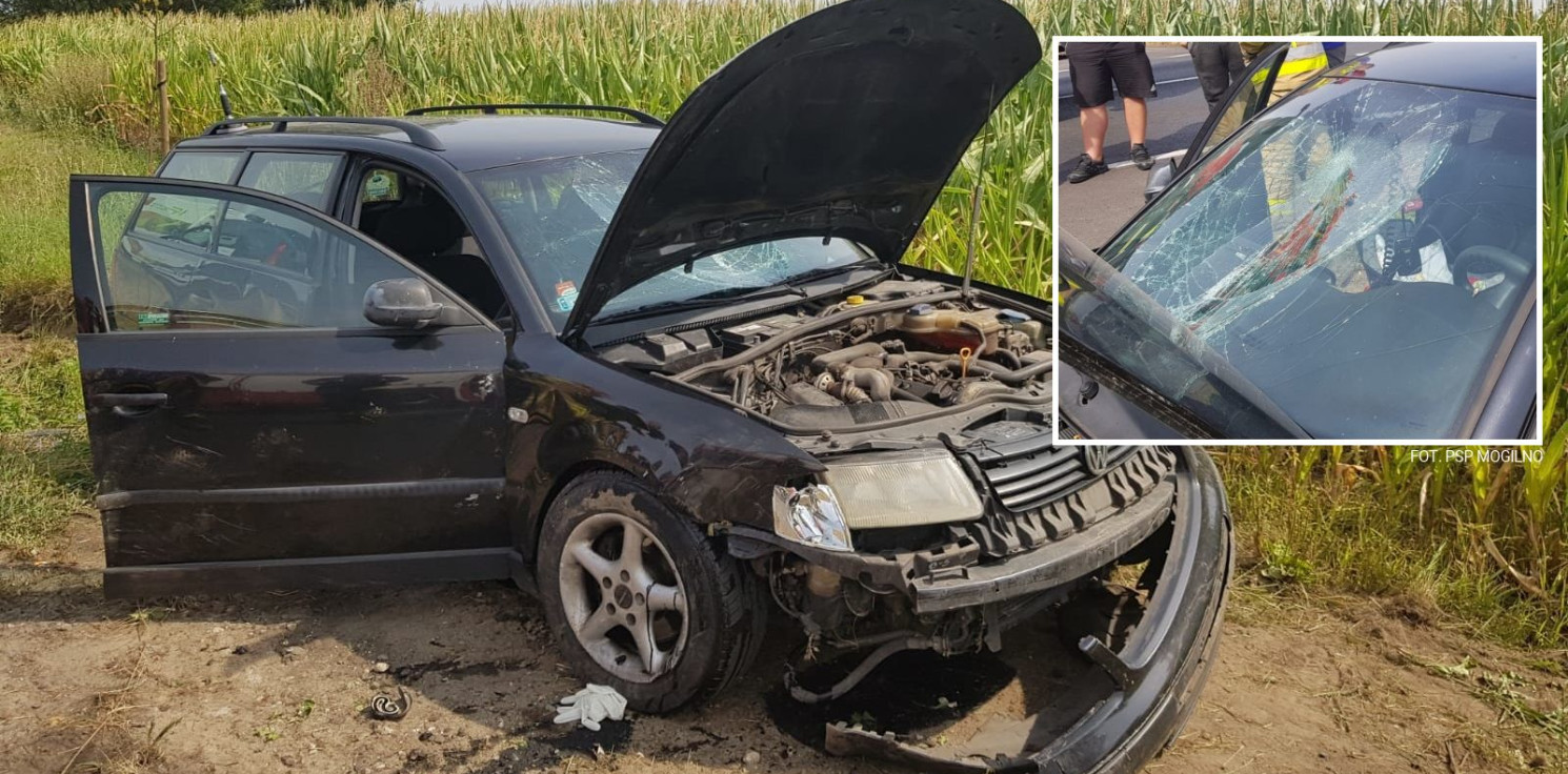 Region - Passat w rowie, trzy osoby w szpitalu