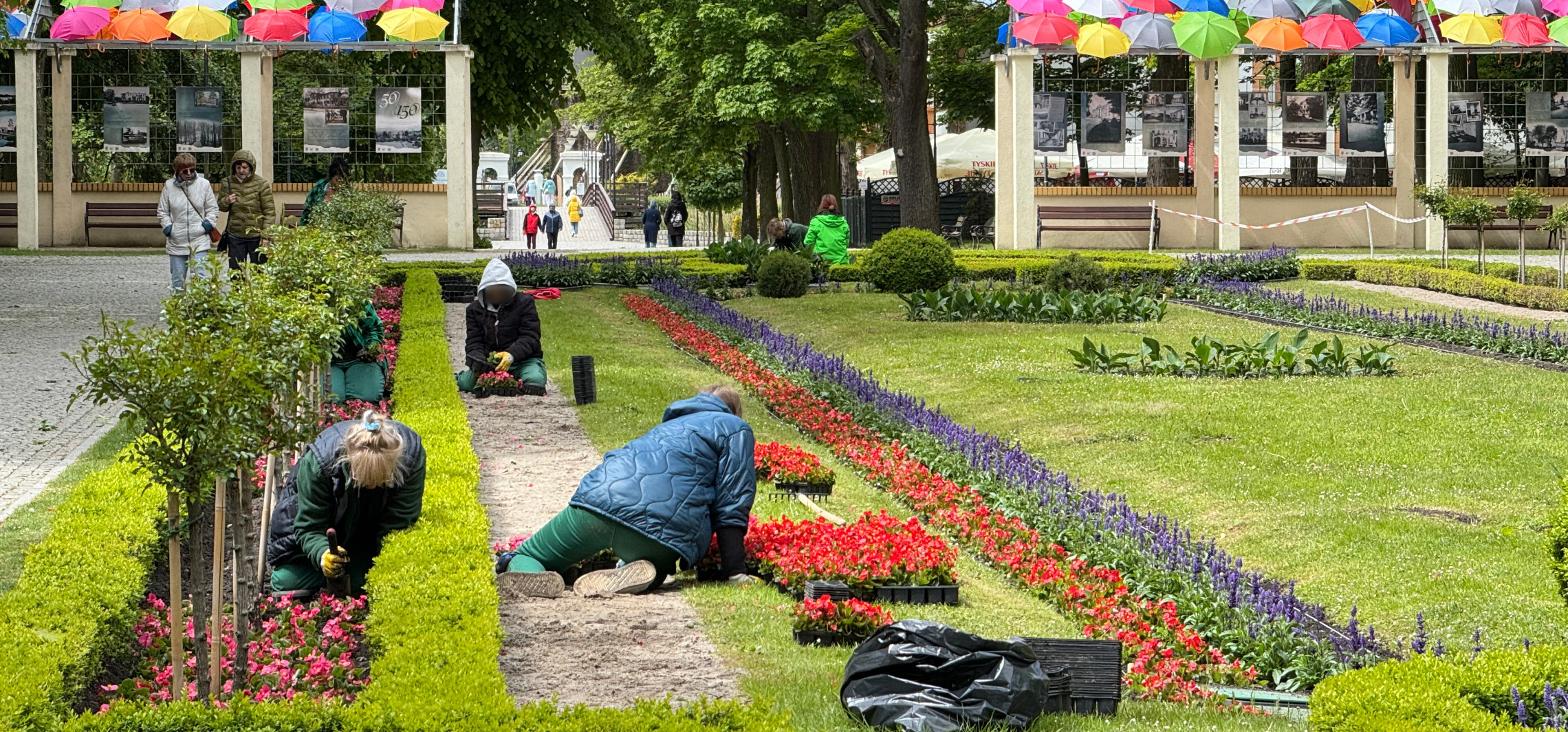 Inowrocław - Solanki nabierają kolorów. Później niż zwykle