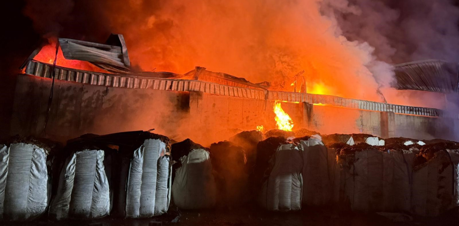 Region - Nocny pożar koło Rojewa. W akcji 14 zastępów