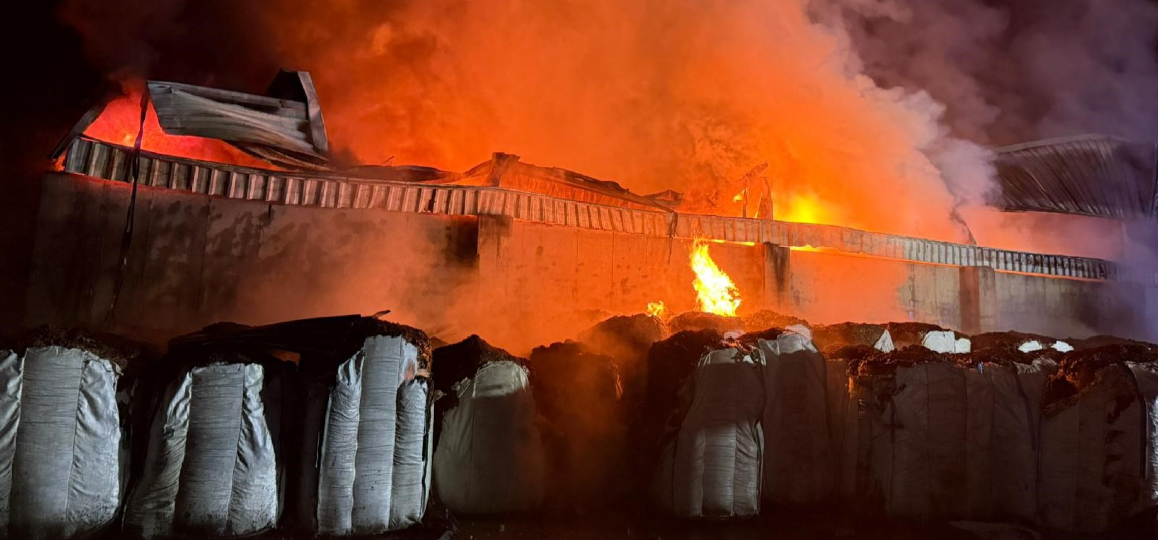 Region - Nocny pożar koło Rojewa. W akcji 14 zastępów