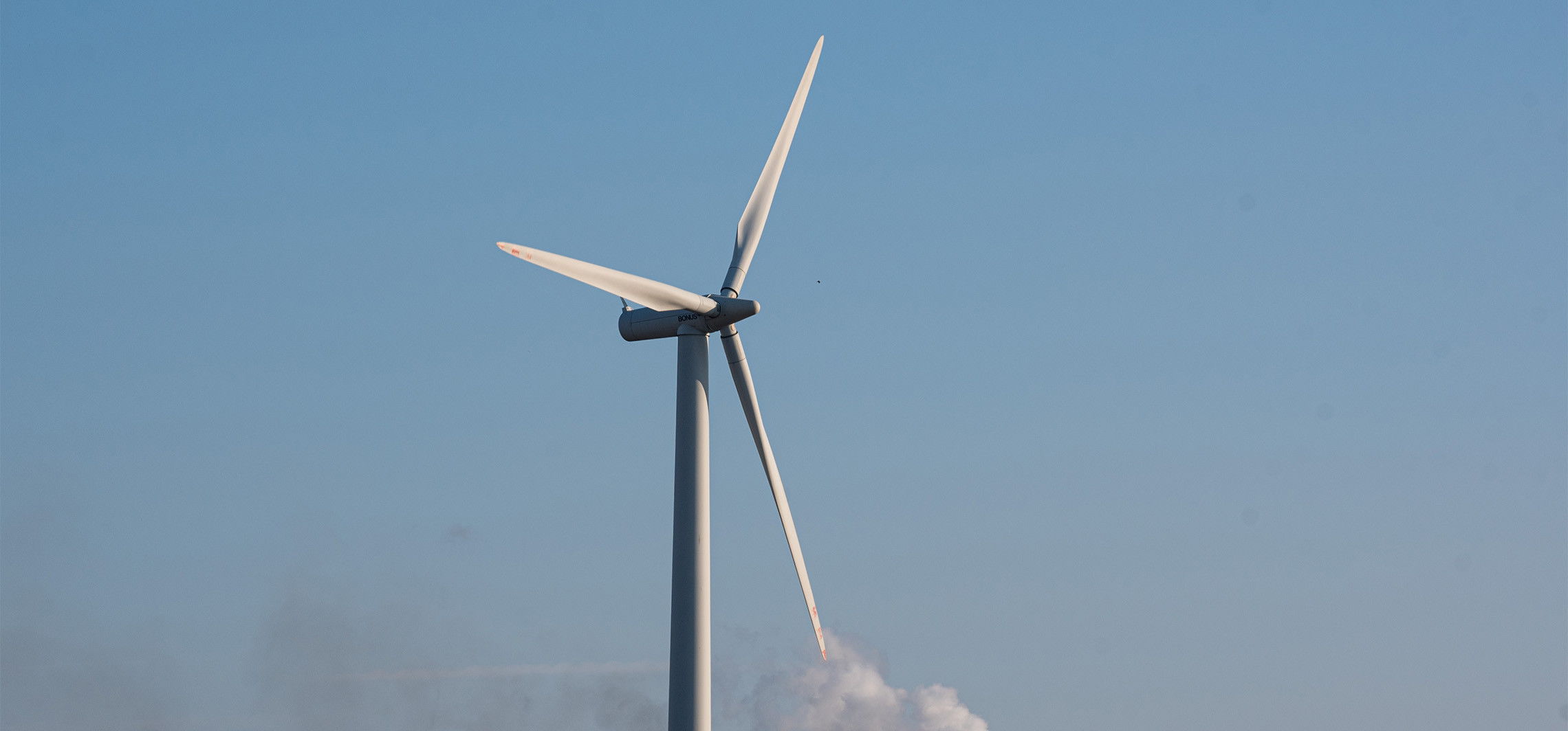 Tutaj chcą postawić wiatraki. Mieszkańcy są na “nie”